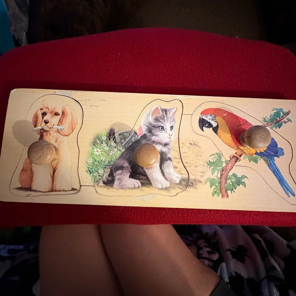 Colorful Wooden Pet Puzzle for Small Animals